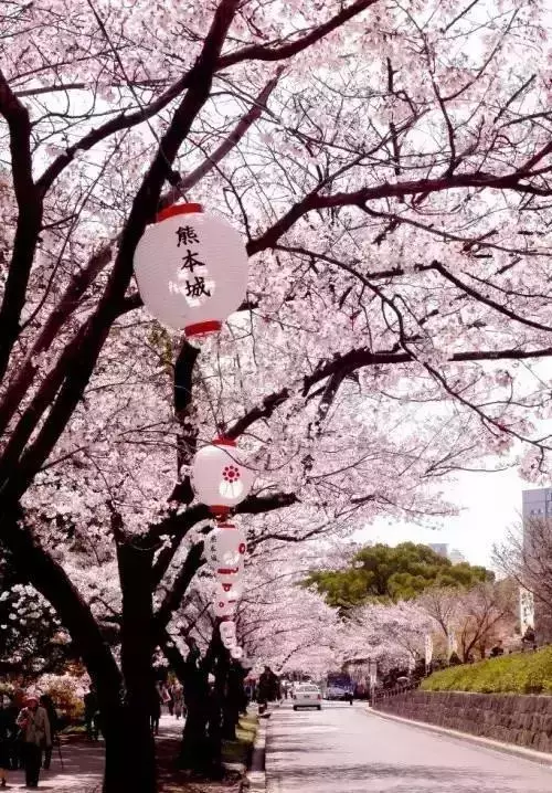 日本研修劳务新单，时薪高，待遇好