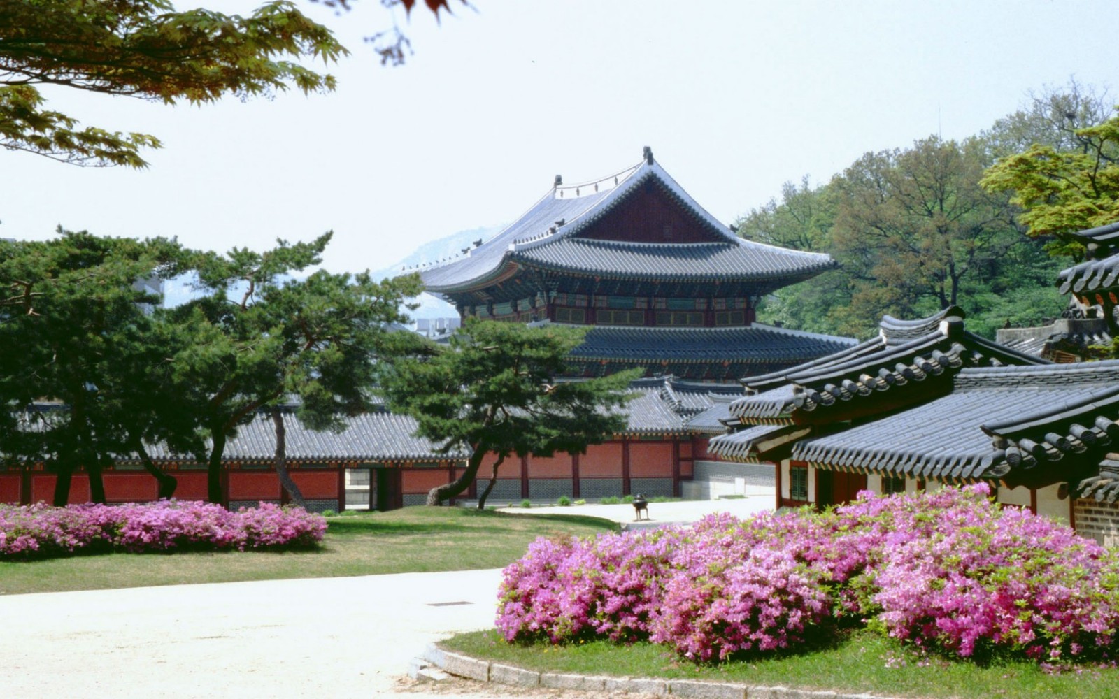韩国