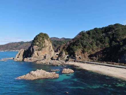 感谢张先生信任报名日本留学4月生。