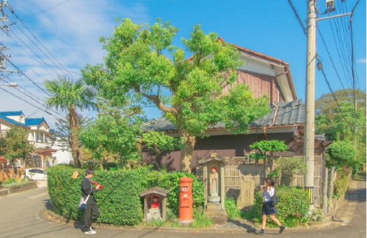 不同学历申请日本留学的方式解析！你最适合哪一种？