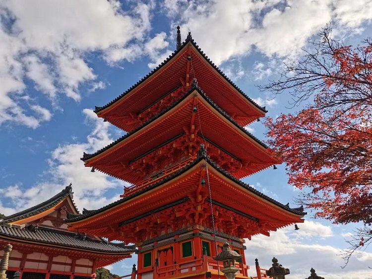 科普|日本文化中，存在着多少来自中国的东西？