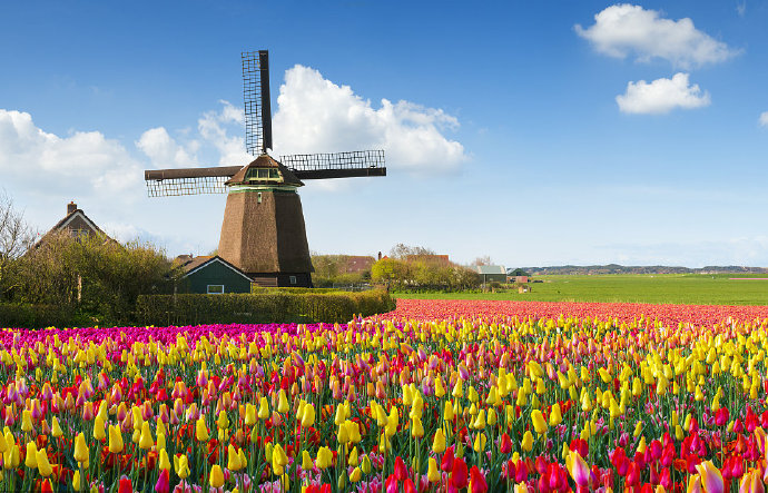 荷兰出国打工，究竟哪里吸引人有哪些吸引人的地方