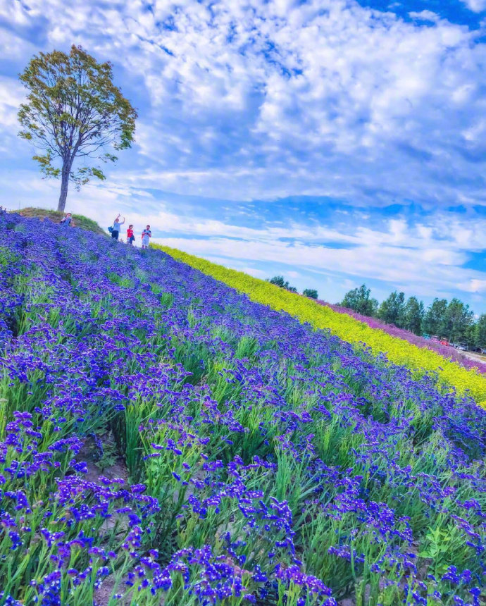 日本留学6类花费，你知道吗？