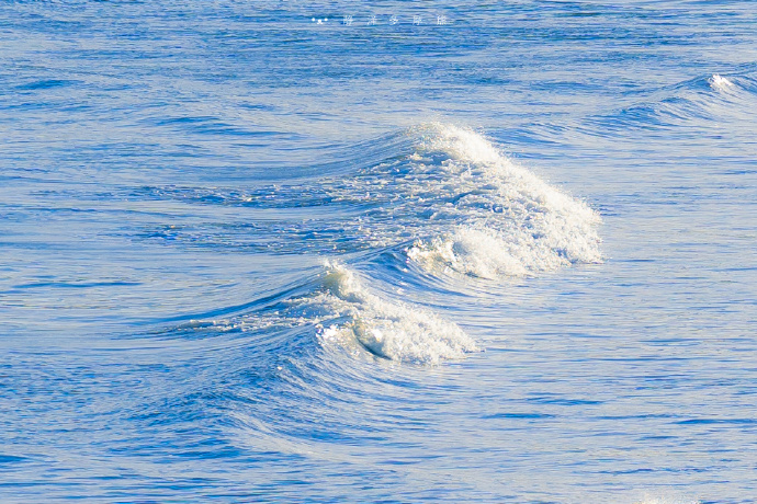 日本十‬月生名额‬又少一个